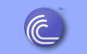 BitTorrent Pro Apk